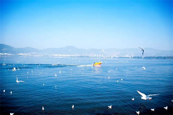 想偷半日浮生閑？來昆明看天、看湖、看雪景|春城冬韻·美景